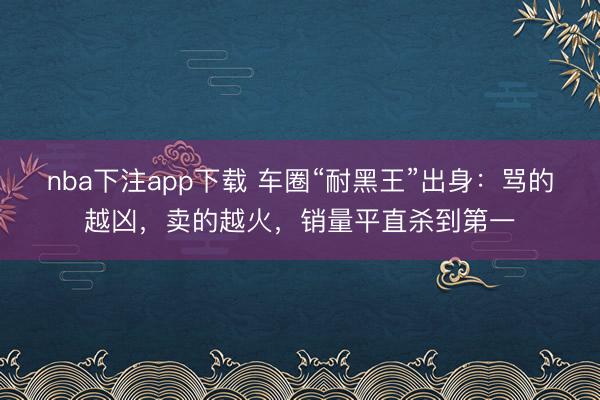 nba下注app下载 车圈“耐黑王”出身：骂的越凶，卖的越火，销量平直杀到第一